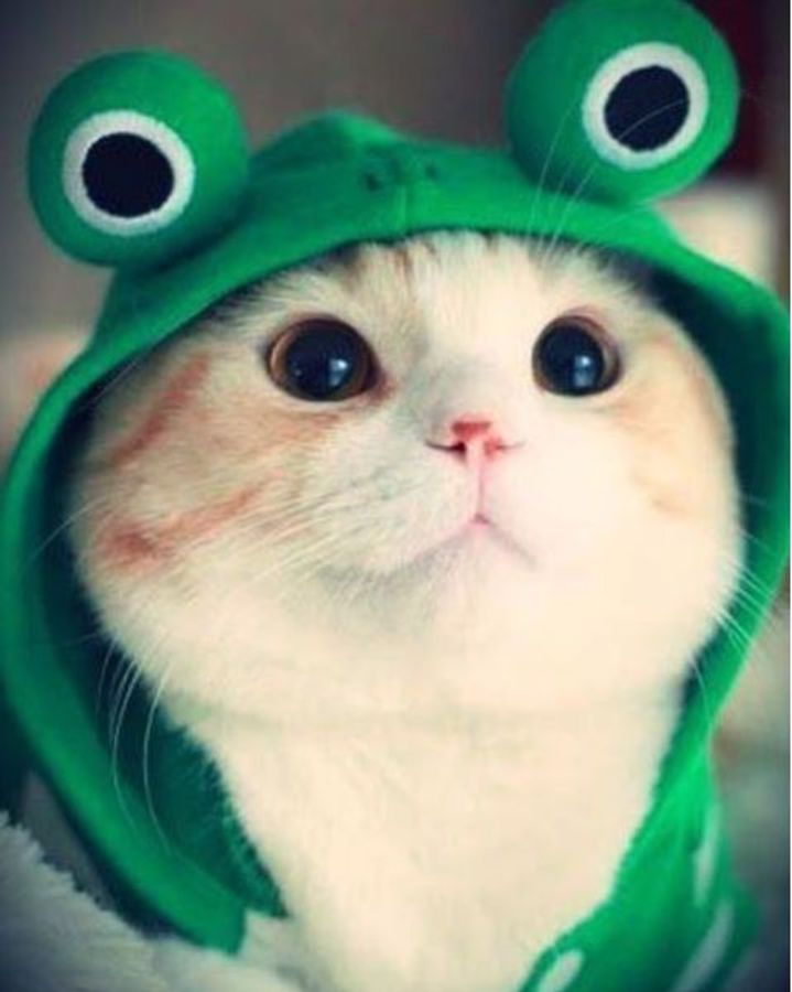 Nước tẩy trang Byphasse Solution Micellaire Face 500ml 215469