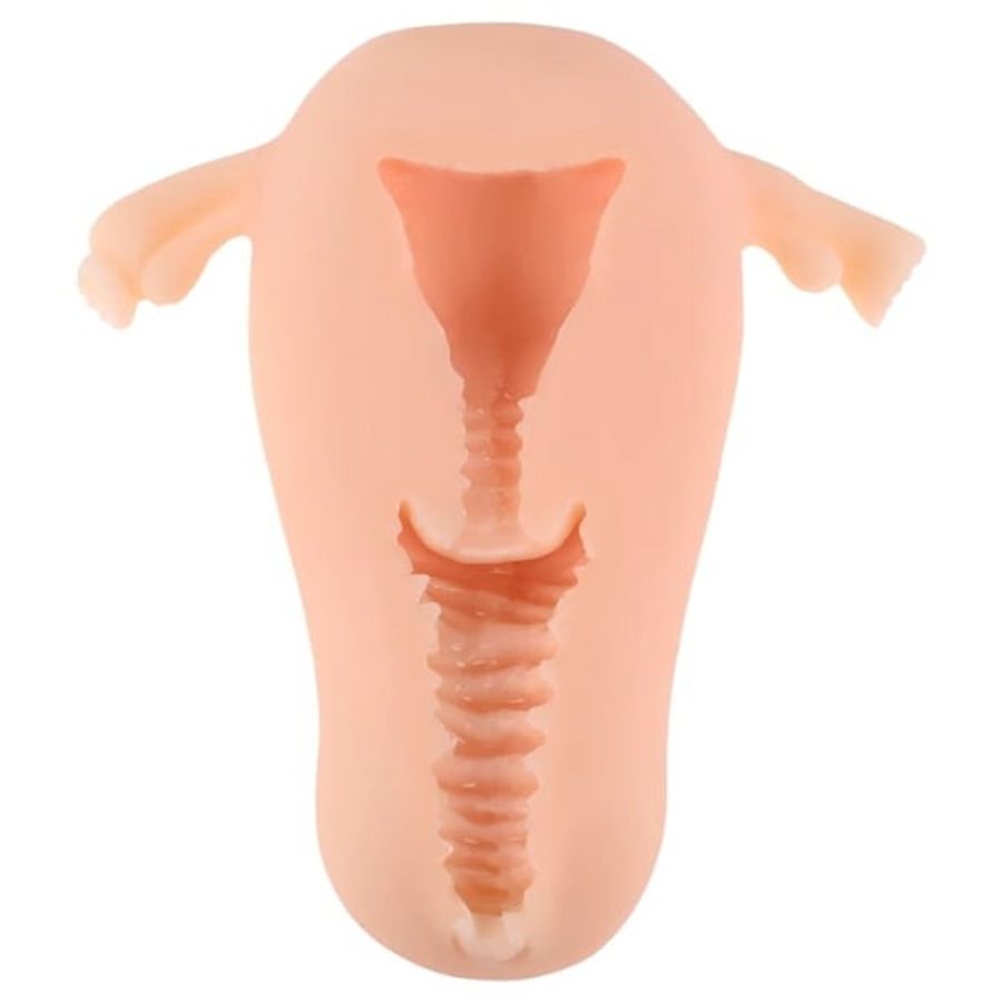 Âm đạo giả ManMiao Real Uterus cầm tay giống âm đạo phụ nữ