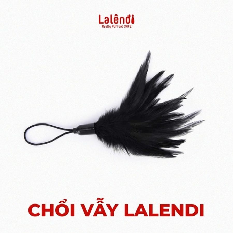 Chổi vẫy lông đen mềm massage dành cho nữ giới giải toả quét mạng nhện chính hãng