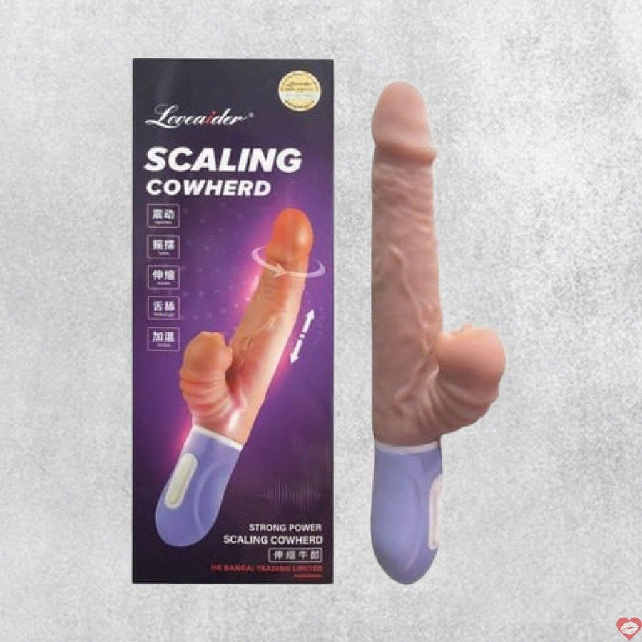 Dương vật giả rung thụt có nhánh sạc điện Loveaider 