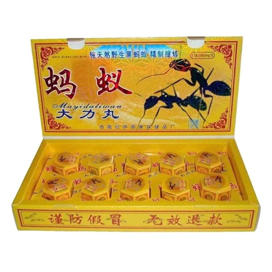 Cường Dương - Kéo Dài Quan Hệ Kiến Càng Tây Tạng (T85)