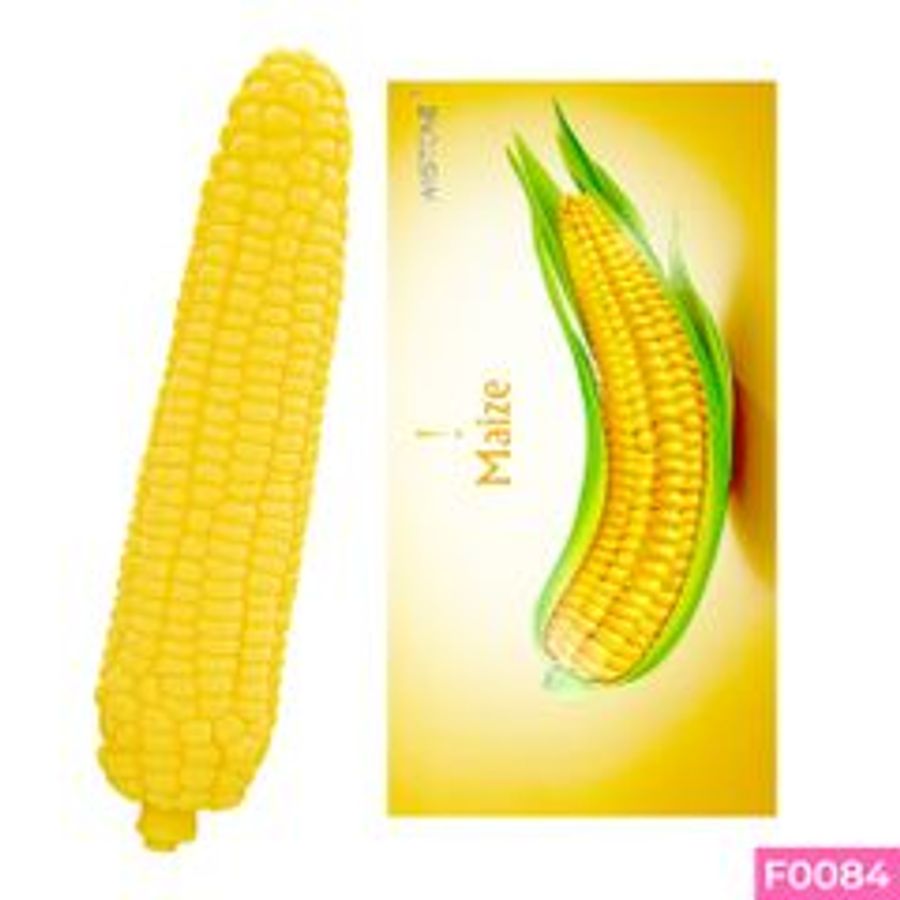 Dương vật giả ngụy trang Wistone Maize đa chế độ rung hình trái bắp dùng pin sạc