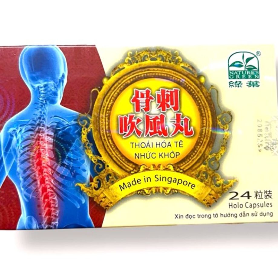 Viên uống Thoái hóa tê nhức khớp - Loại siêu xịn - 1 hộp gồm 24 viên - Xuất xứ Singapore - Mã 1121 - Loại siêu xịn
