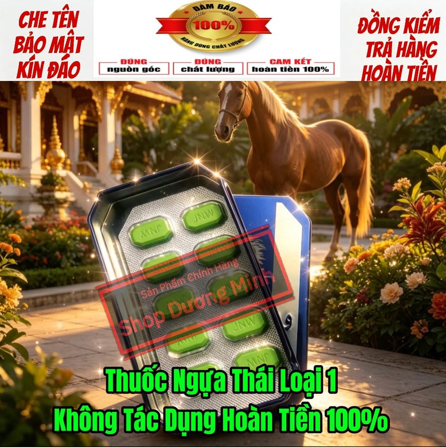 ( Hàng Chính Hãng) Ngựa Thái Cao Cấp Hàng Xịn, Hộp 10 Viên , Giá Ưu Đãi 