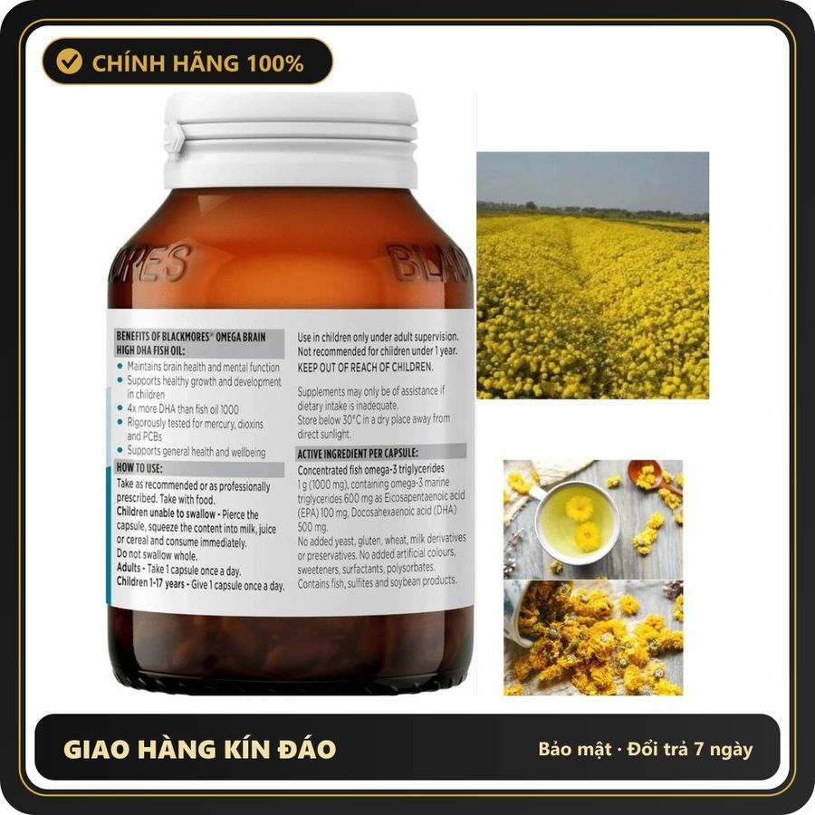 (Che Tên) Blackmores Omega Brain. 1Kg Trà Hoa Cúc Vàng Sấy Khô (Hoàng Cúc) Nguyên Bông Tự Nhiên. Chuẩn Auth