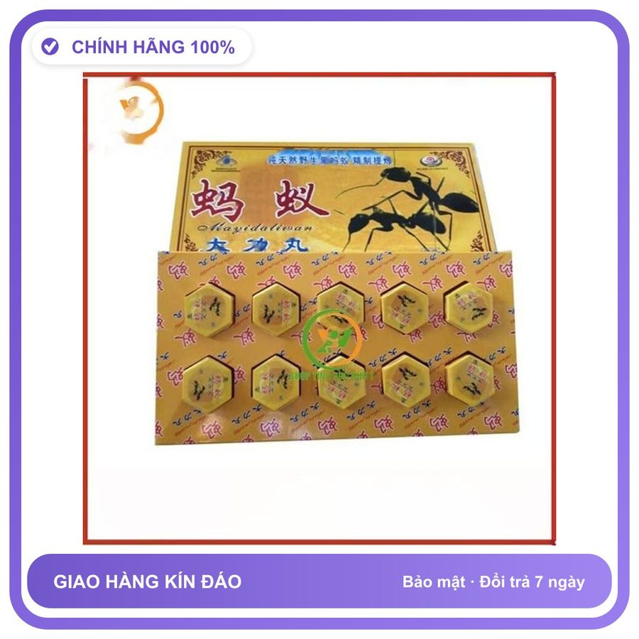 Viên uống hỗ trợ tăng cường sinh lý nam giới Kiến càng đen Tây Tạng Hộp 10 Viên Chính Hãng An Toàn Tiện Lợi Giao Nhanh Toàn Quốc Mẫu Mới