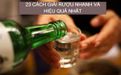 23 cách giải rượu nhanh và hiệu quả nhất cho người say tại nhà
