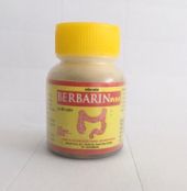 Berbarin giúp giảm triệu chứng bụng đầy hơi (80 viên)-Hà Nam