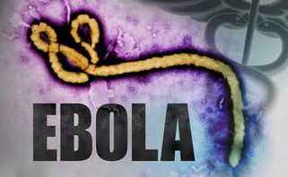 Bệnh Ebola: nguyên nhân, triệu chứng và cách phòng ngừa