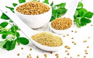 Cỏ Cà Ri Là Gì? Cỏ Cà Ri Có Lợi Sữa Không?