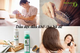 TOP 10 dầu gội đầu khô cho bà đẻ được yêu thích nhất