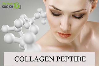 Collagen Peptide là gì? 5+ loại Collagen Peptide được yêu thích hiện nay