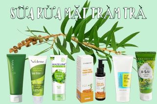 Top 13 sữa rửa mặt tràm trà kháng khuẩn trị mụn hiệu quả