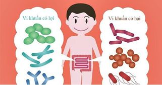 Men vi sinh Biolac có tốt không? An toàn không? Người dùng họ nói gì?