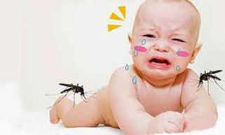  Triệu chứng sốt xuất huyết là gì? Nguyên nhân và cách điều trị hiệu quả?