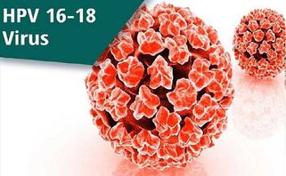 HPV là gì? Lây truyền qua đường nào? Có gây ung thư không?