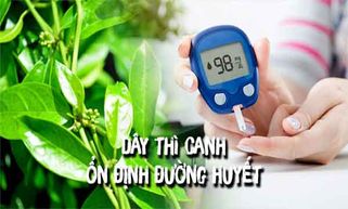 Cách dùng dây thìa canh chữa bệnh tiểu đường đem lại hiệu quả cao