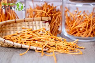 Đông trùng hạ thảo sấy thăng hoa là gì? Cách sử dụng và giá bán?