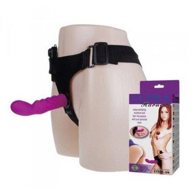 HARNESS