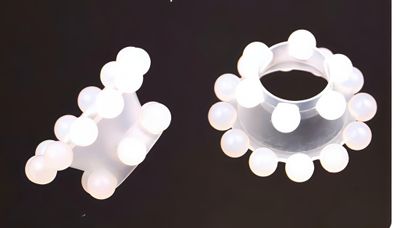 công ty nhật bản