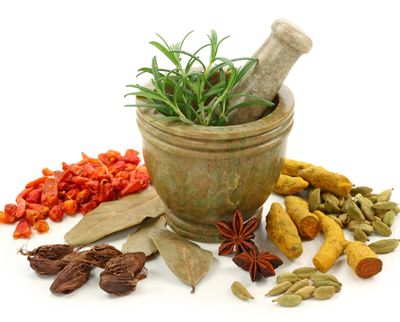 Các loại thảo mộc